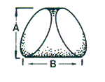 Diagram Cylindrical Wedge